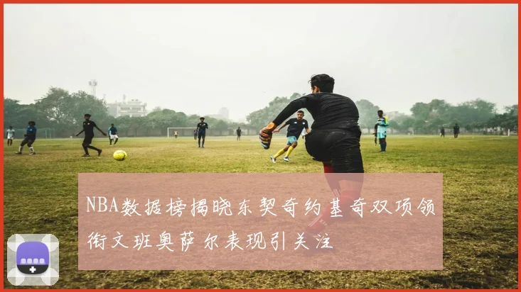 NBA数据榜揭晓东契奇约基奇双项领衔文班奥萨尔表现引关注